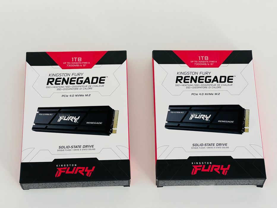Disco SSD 1TB Kingston FURY Renegade NVMe PCIe 4.0 c/Heatsinc