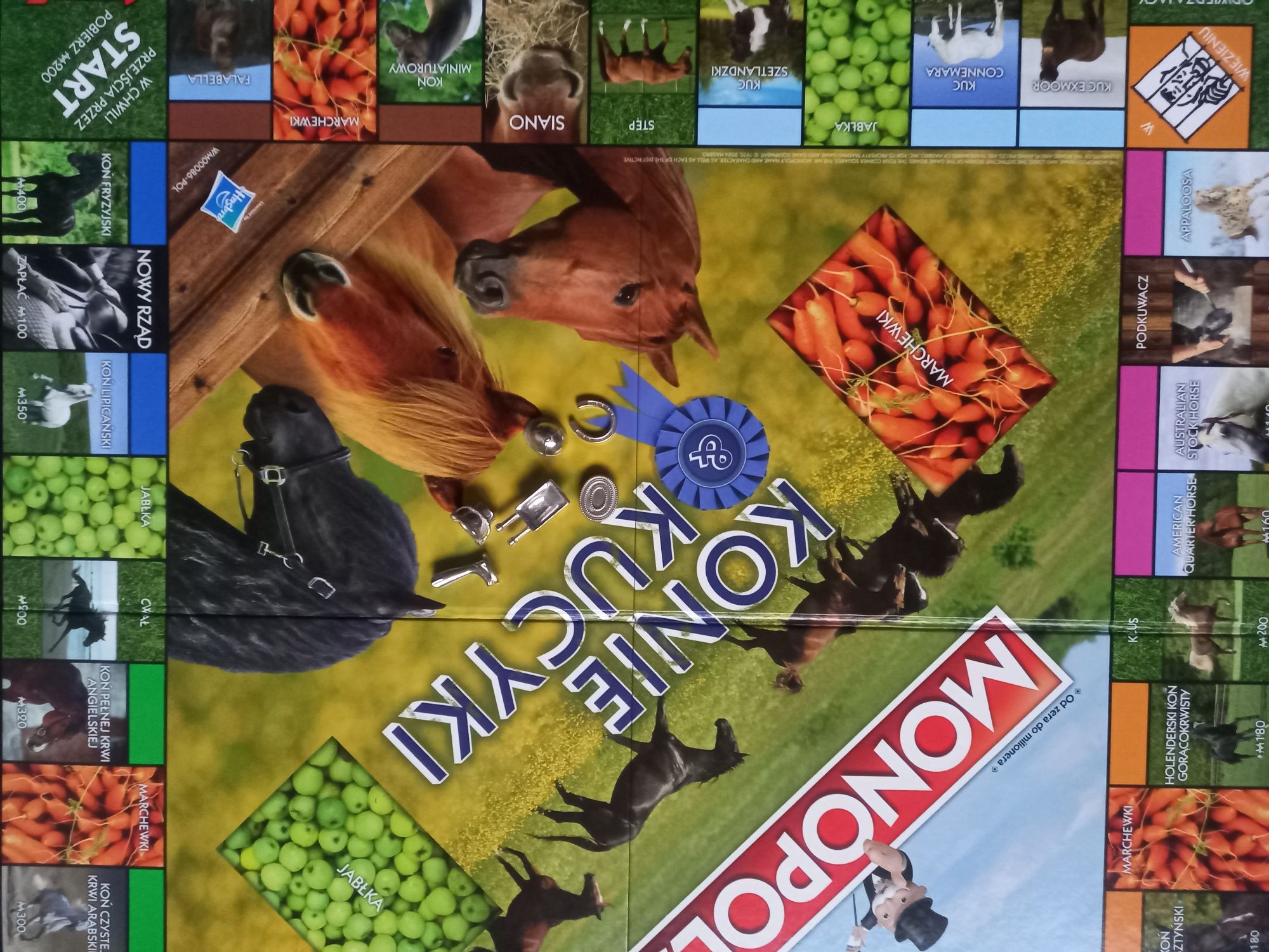 Monopoly Konie i kucyki to rodzinna gra planszowa,