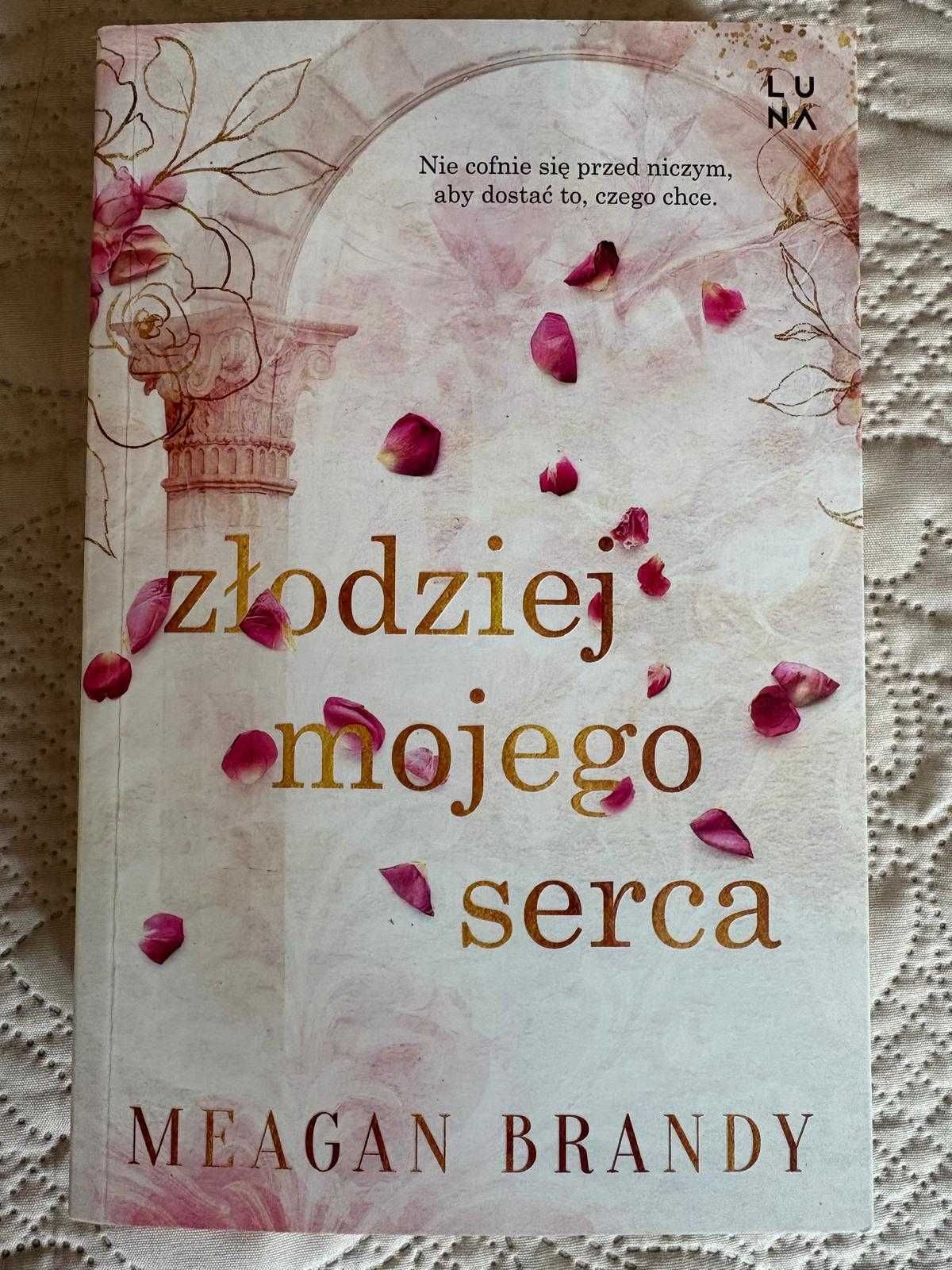 Złodziej mojego serca Meagan Brandy romans