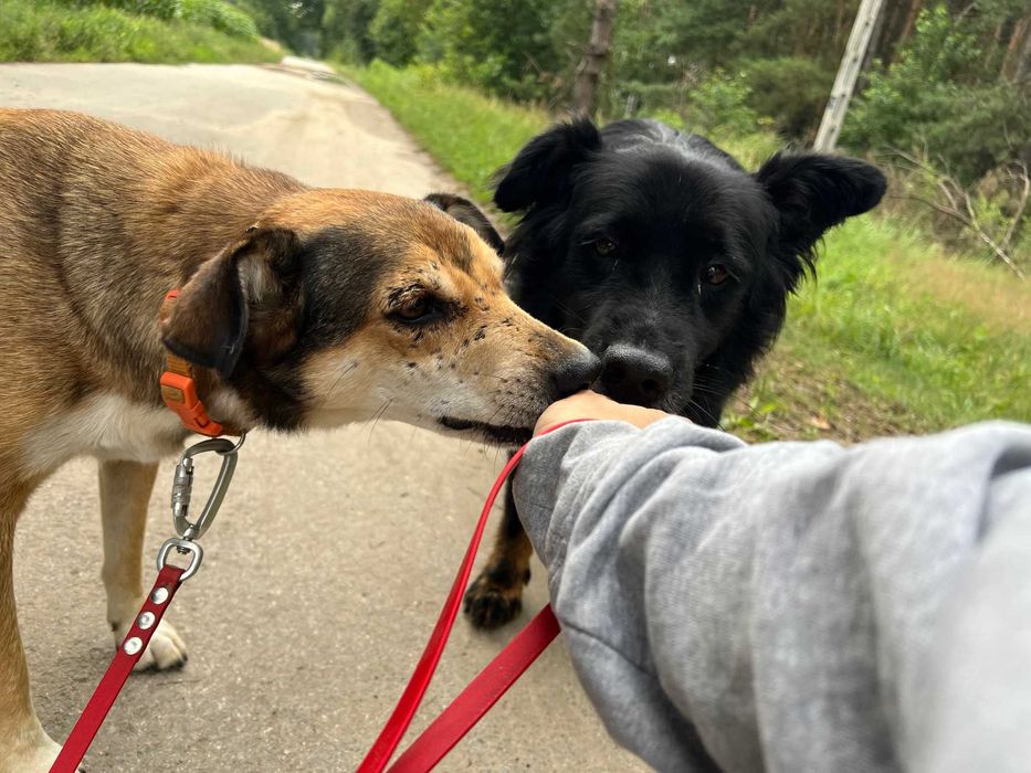 Ona i On,  żyć bez siebie nie mogą. Szukamy wspólnego domu