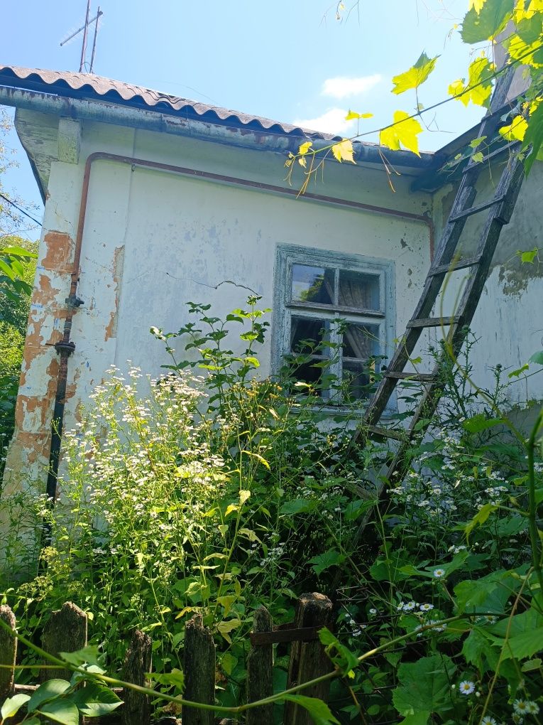 Продам будинок з земельною ділянкою 70 соток в с  Грушвиця Друга