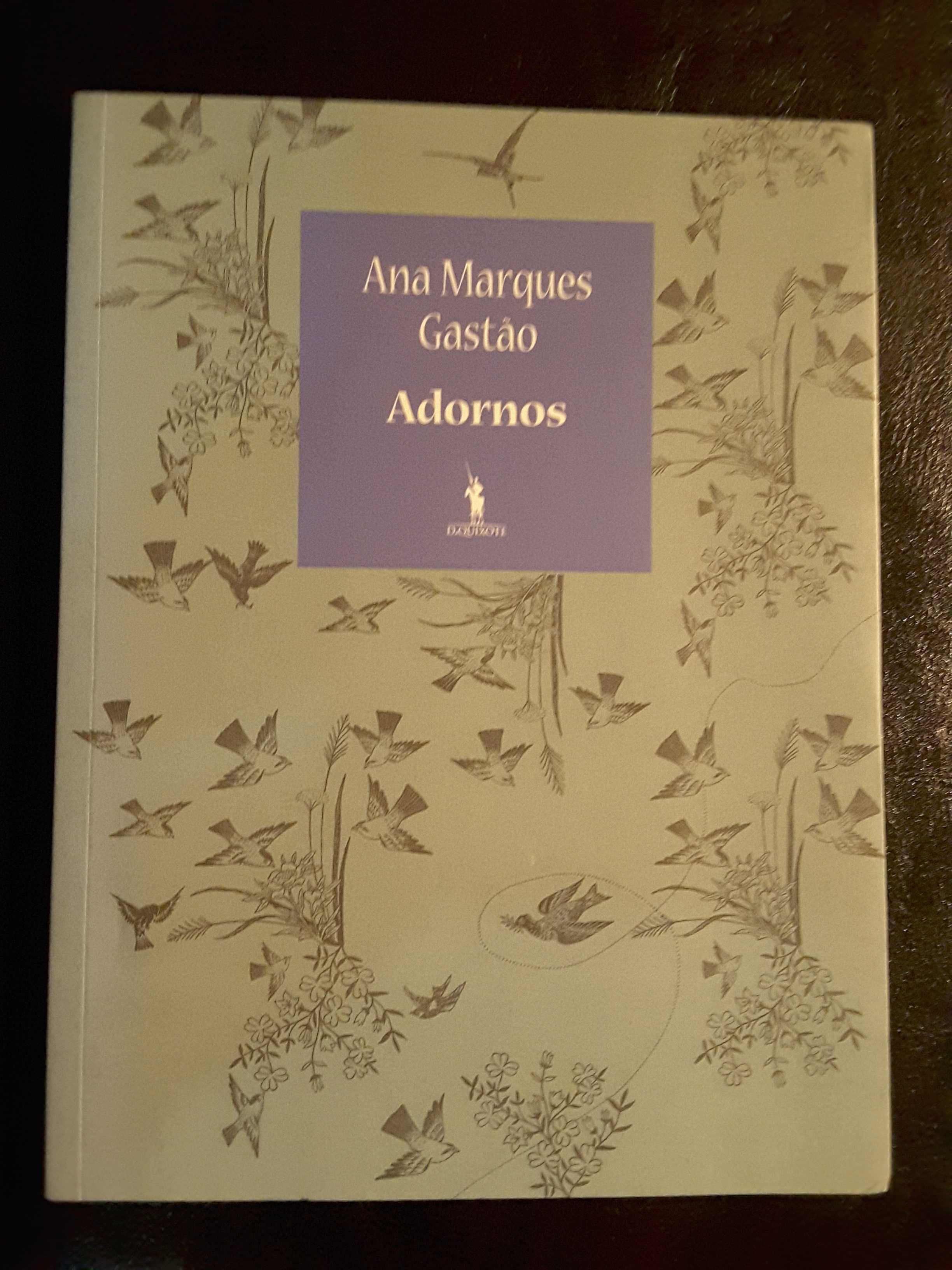 Relâmpago. Revista de Poesia / Ana Marques Gastão / Emanuel de Sousa