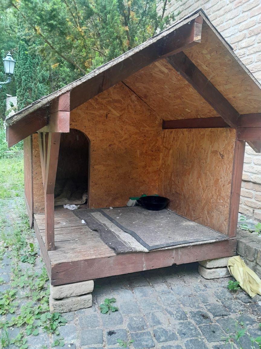 Wielka buda dla psa (Owczarek, Bernardyn)