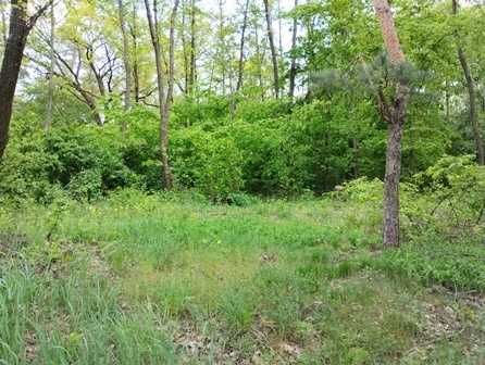 Ділянка під забудову в Лісі