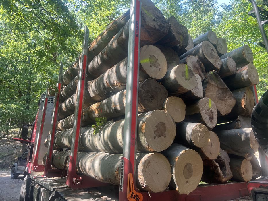 Drewno bukowe - opałowe