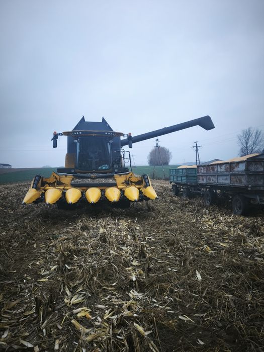 Koszenie kukurydzy, usługa koszenia kukurydzy