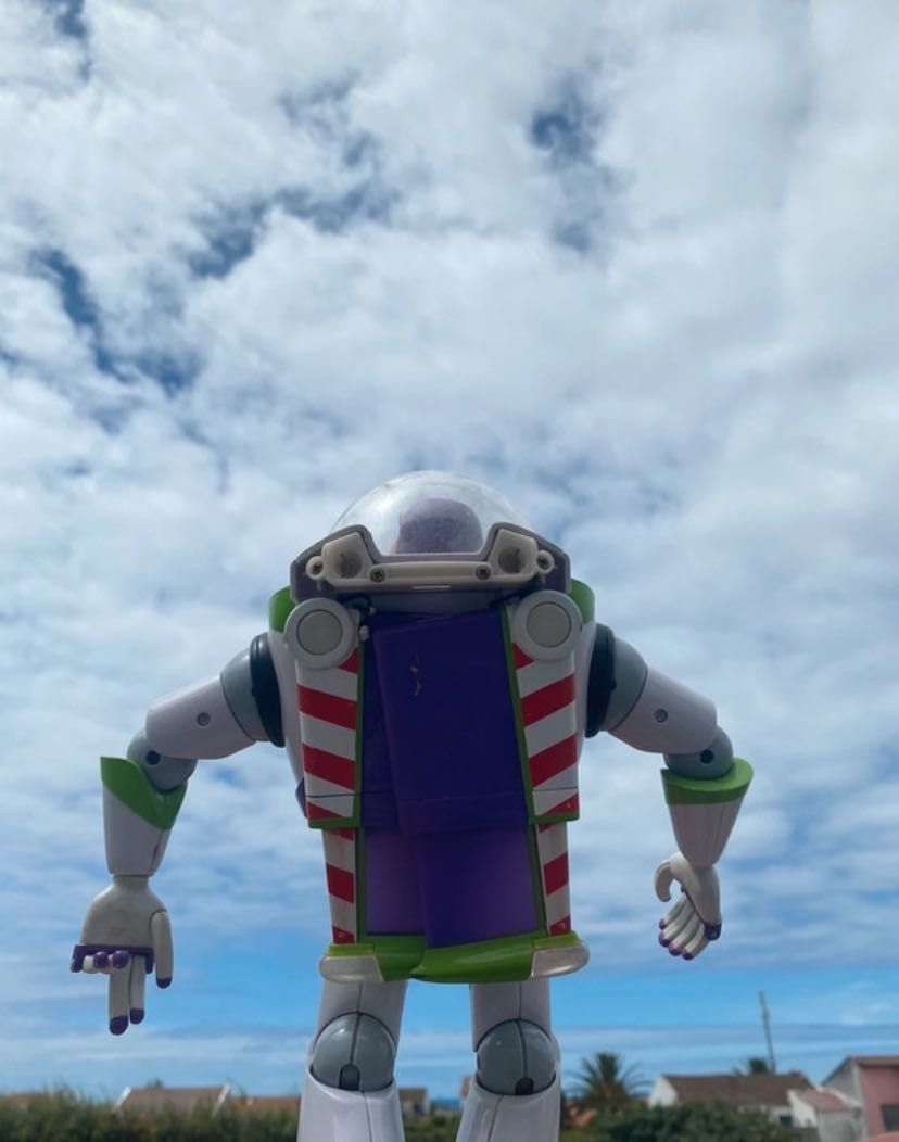 Toy Story (Buzz e Woody)