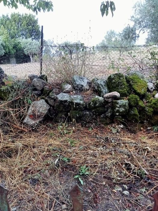 Moradia rustica em ruinas
