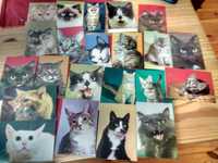 Koty, kolekcja  24 pocztówek lata 70 te