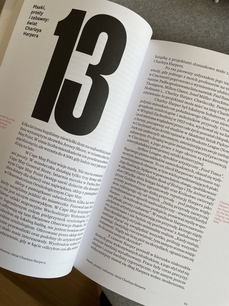 Ksiazka Raz mnie widzisz, raz nie widzisz i inne eseje Michael Bierut