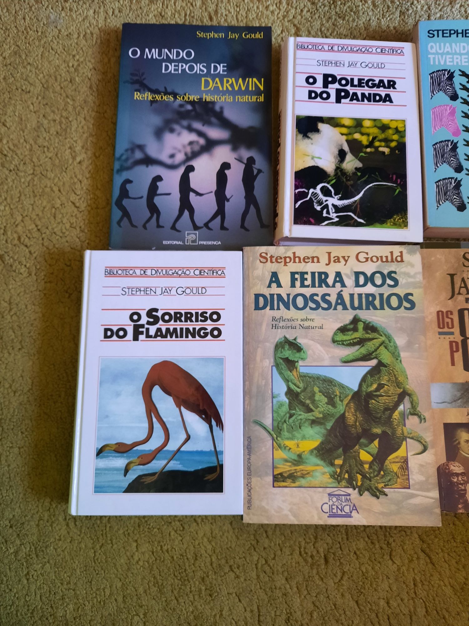 Stephen Jay Gould - Lote de sete livros sobre Evolução
