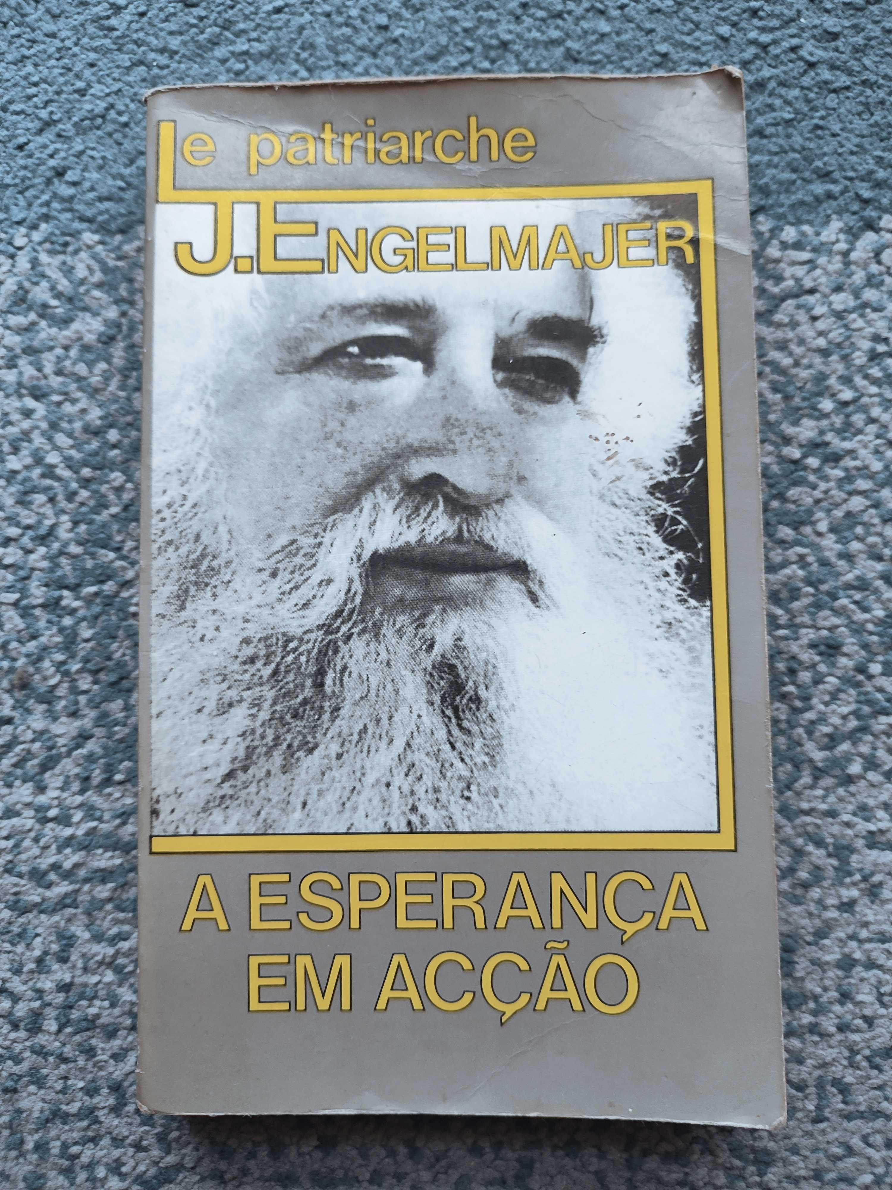 Livro "A esperança em acção" Le Patriarche