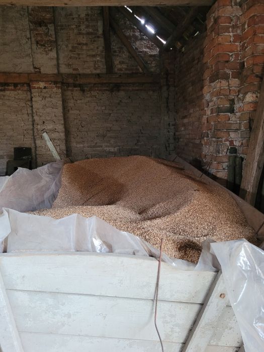 Pszenzyto od rolnika