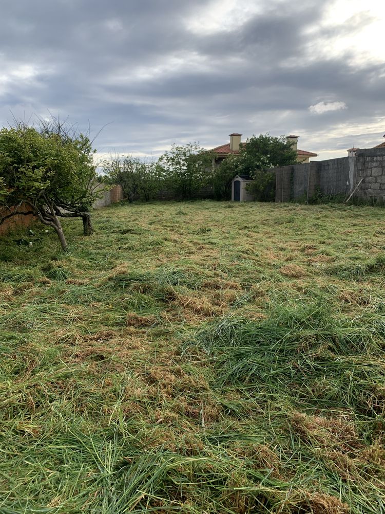 Servico jardinagem