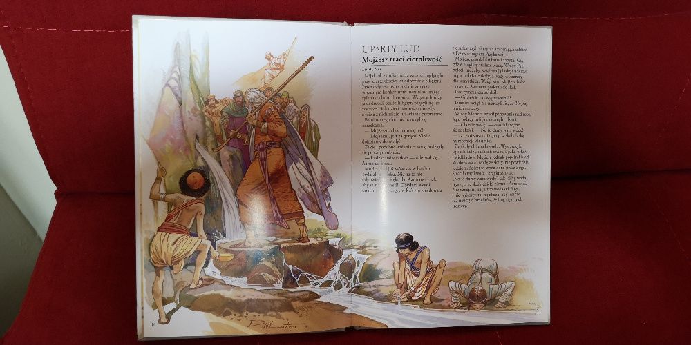 Książka BIBLIA RODZINNA-Pustynia - Droga do ziemi obiecanej