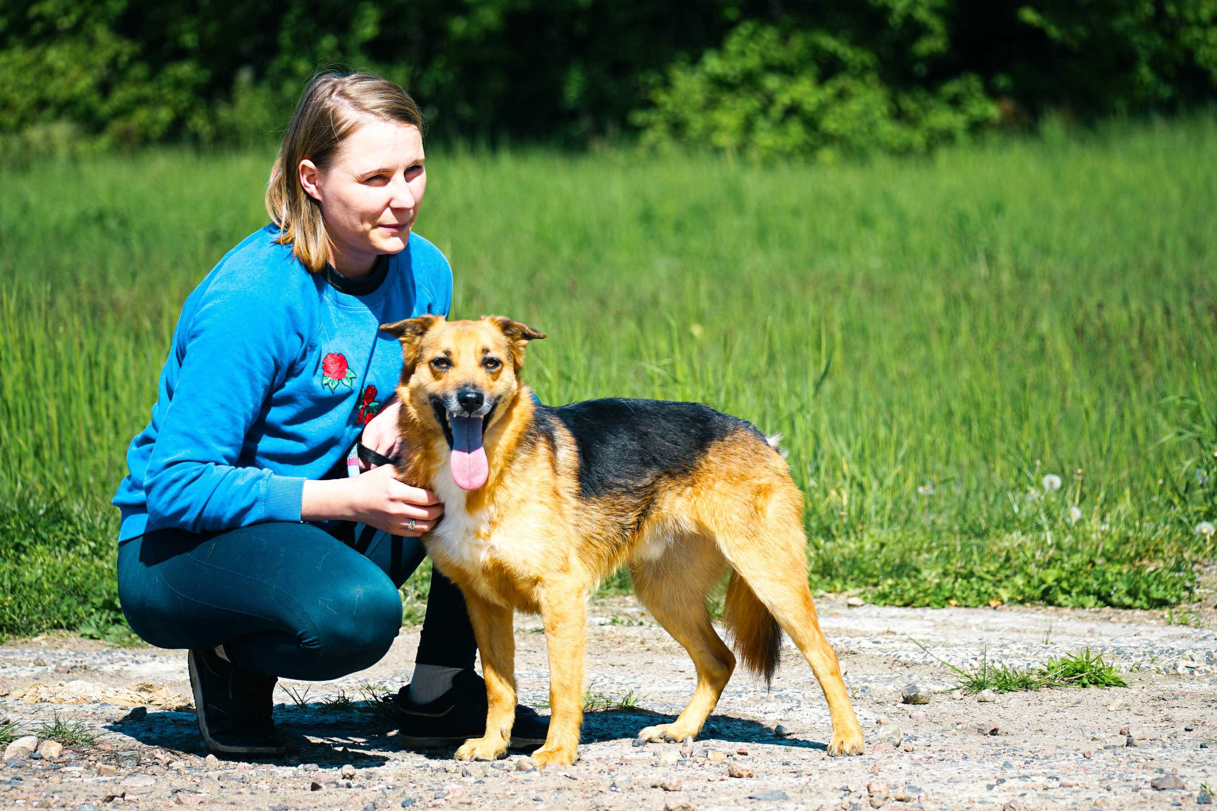 MIŁEK - świetny pies do adopcji