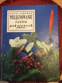 Pielęgnowanie roślin pokojowych David Longman