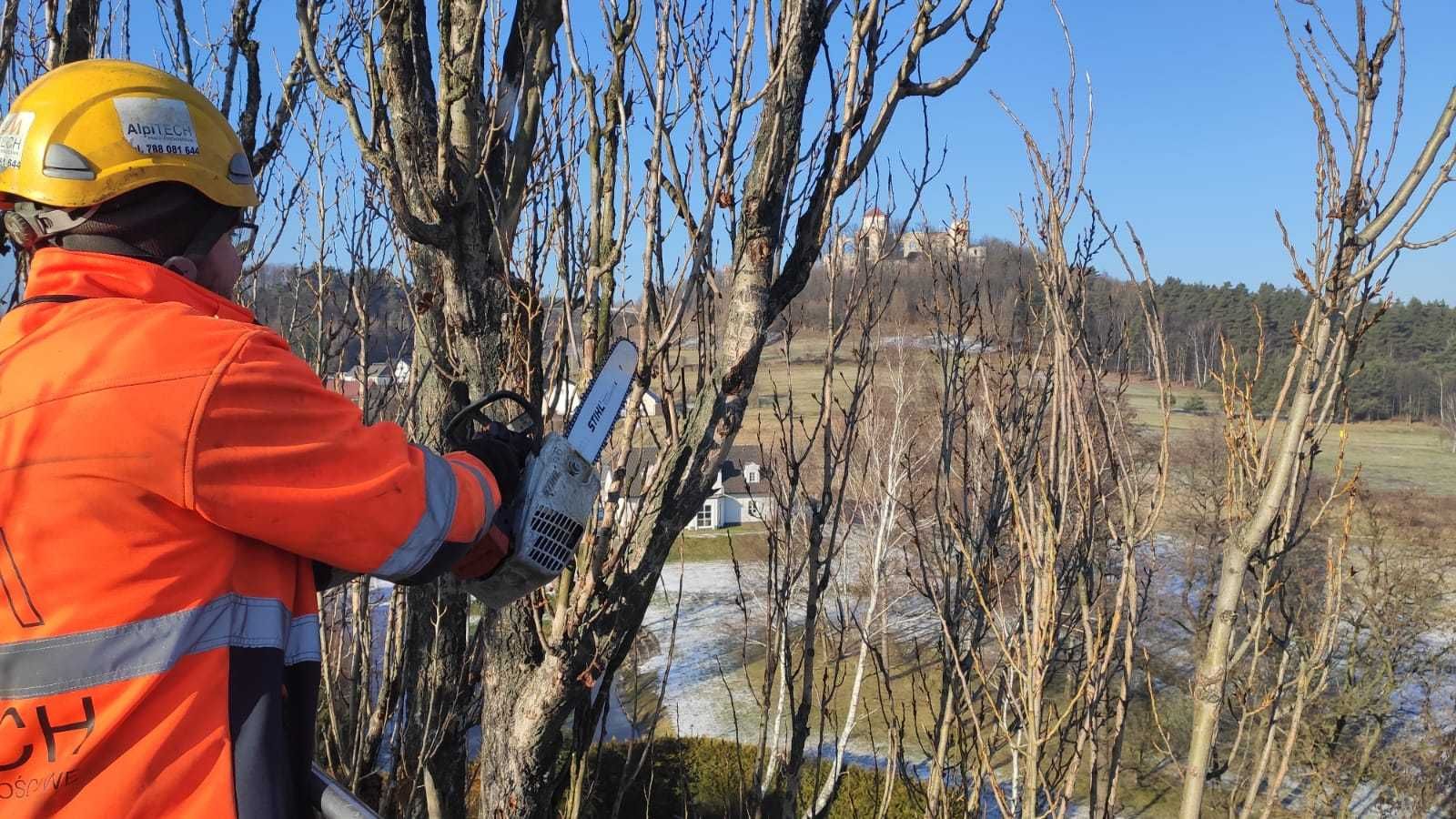 Wycinka drzew z podnośnika /metoda alpinistyczna/rębak/frezowanie pni