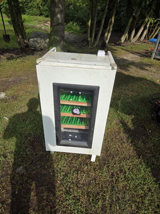 Inkubator, klujnik na 140 jaj
