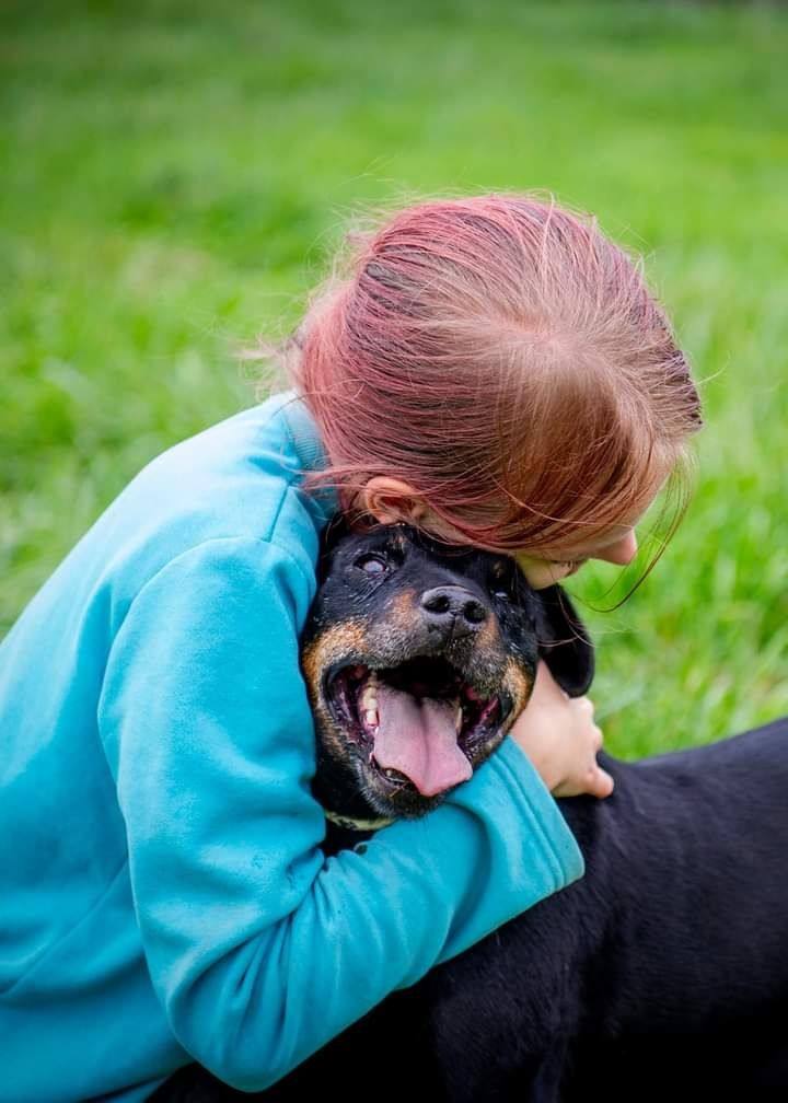 Wspaniały psiak w typie rasy Niemiecki Terrier Myśliwski czeka na Dom!