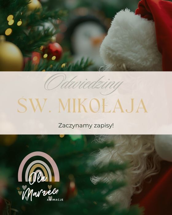 Animacje dla dzieci Animatorka Święty Mikołaj Andrzejki Karnawał