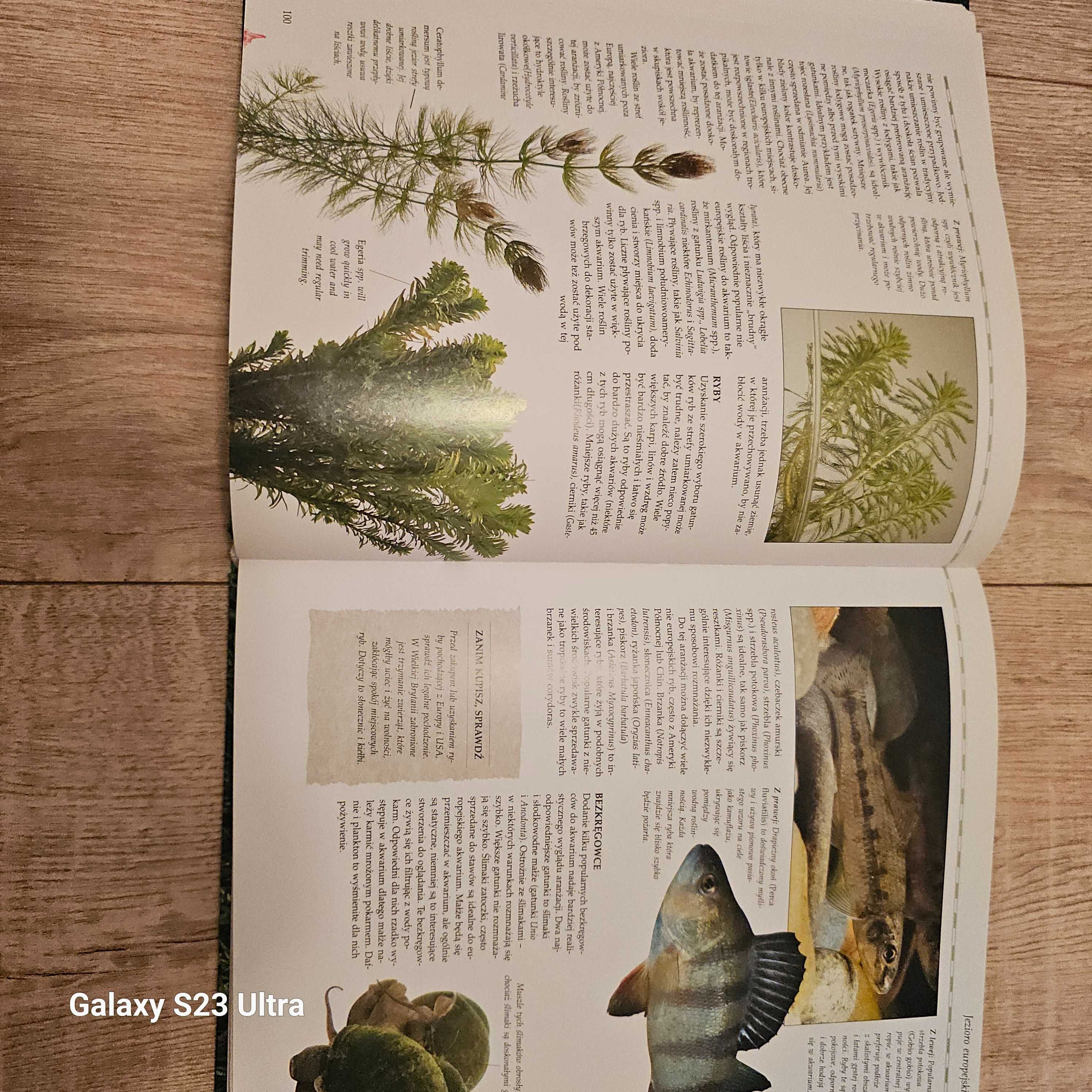 Akwarium inspirowane naturą. Peter Hiscock