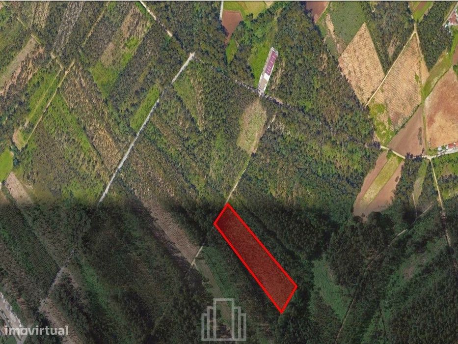 Terreno rústico - Avanca