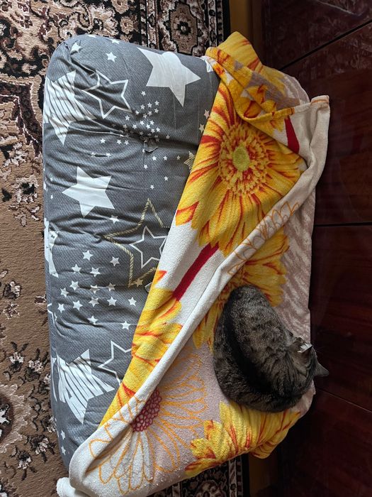 Матрац-трансформер розкладний 190х100