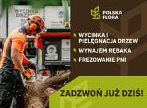 Wycinka Drzew, Pielęgnacja drzew, rębak do gałęzi