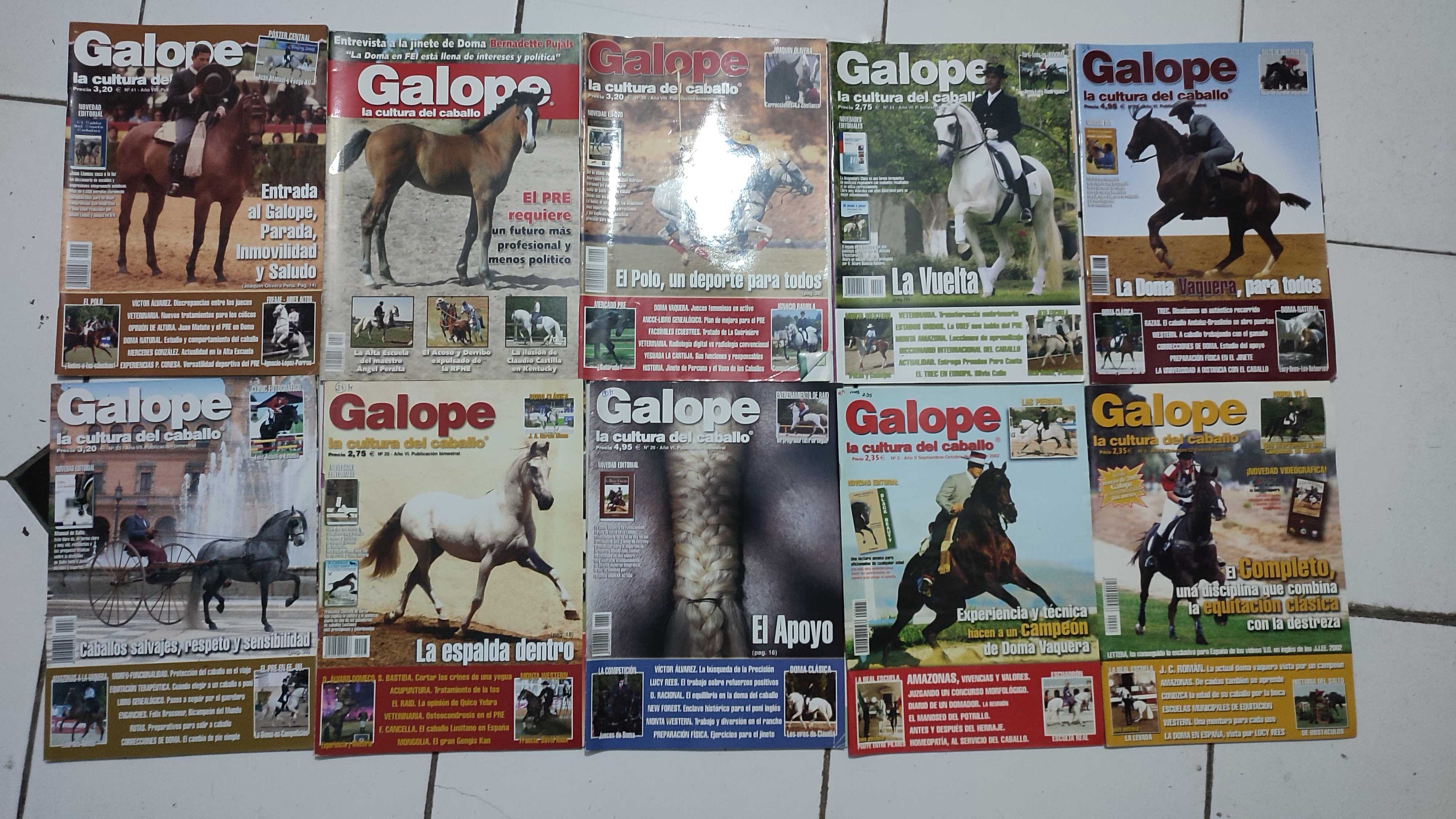 Lote 34 Revistas Galope