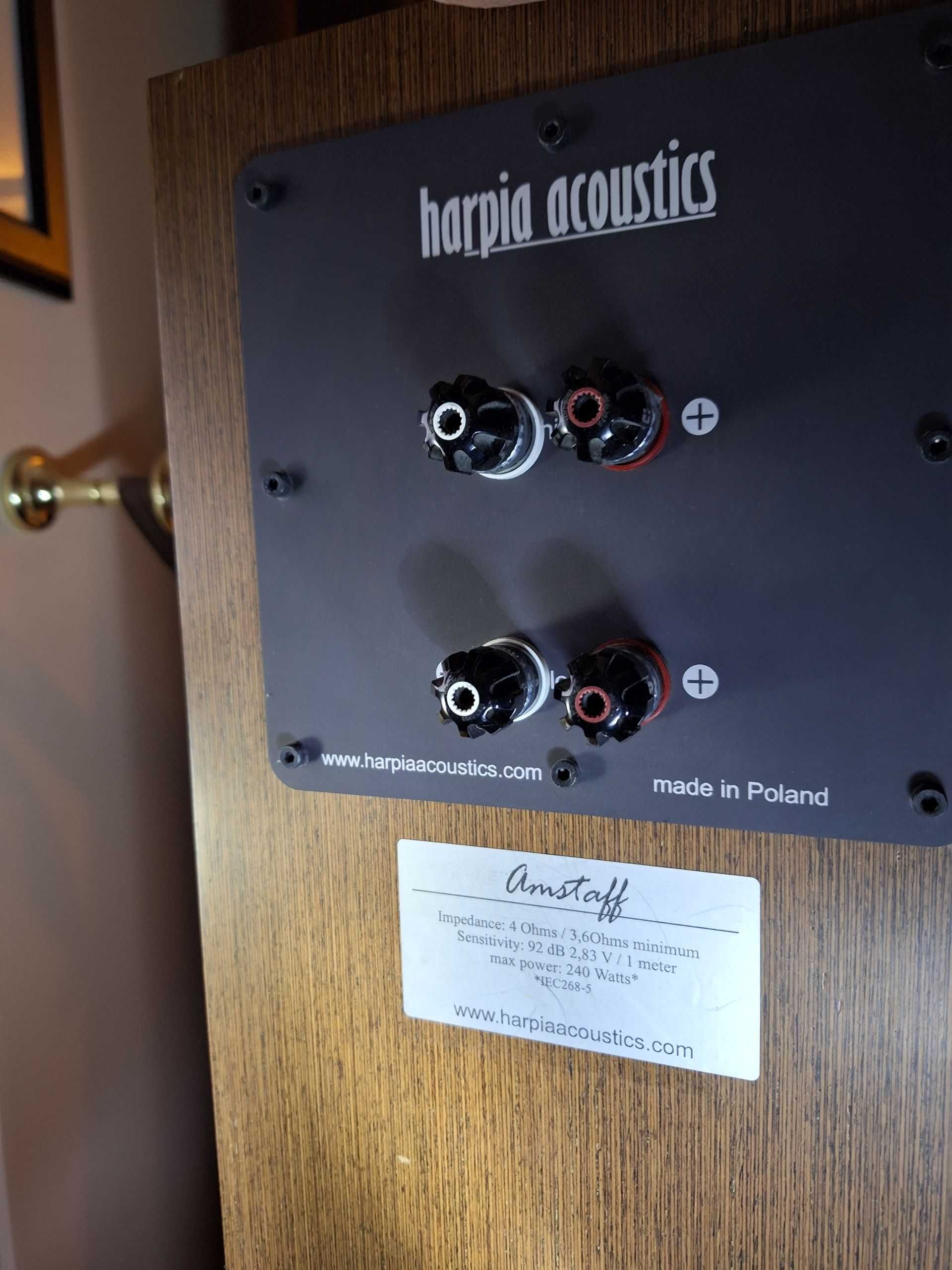 Kolumny Harpia Acoustics Amstaff