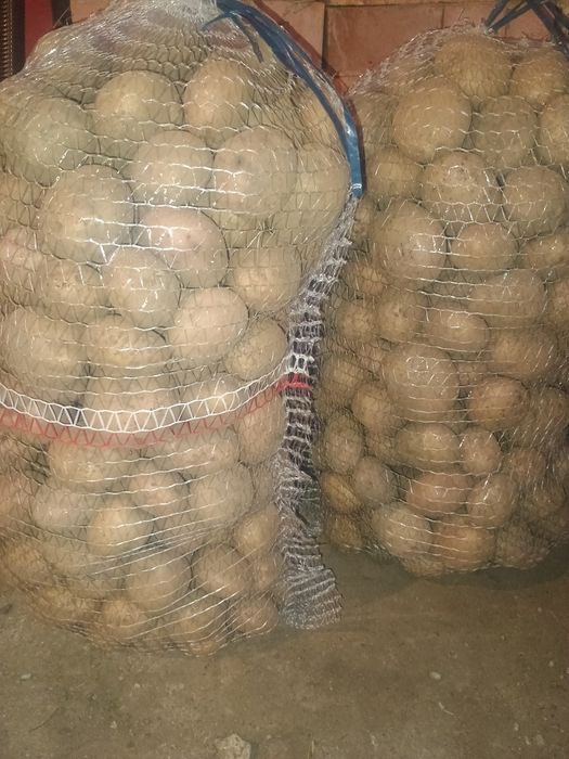 Ziemniaki jadalne irga