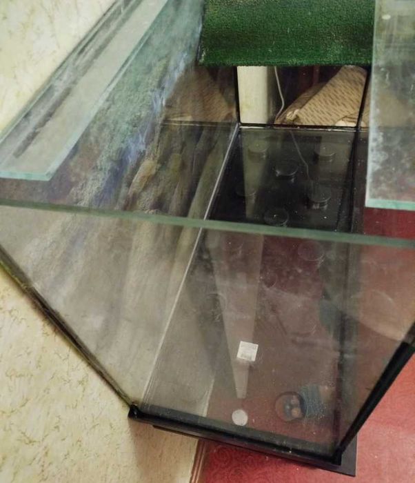 Акватерраріум 240л + Повний набір для акватерраріуму