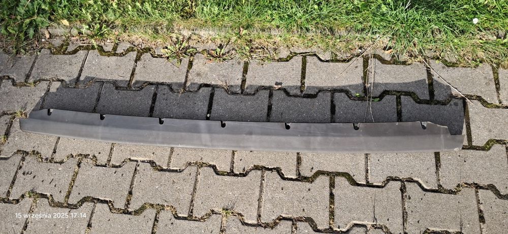 Nowy nosek Poloneza Borewicz