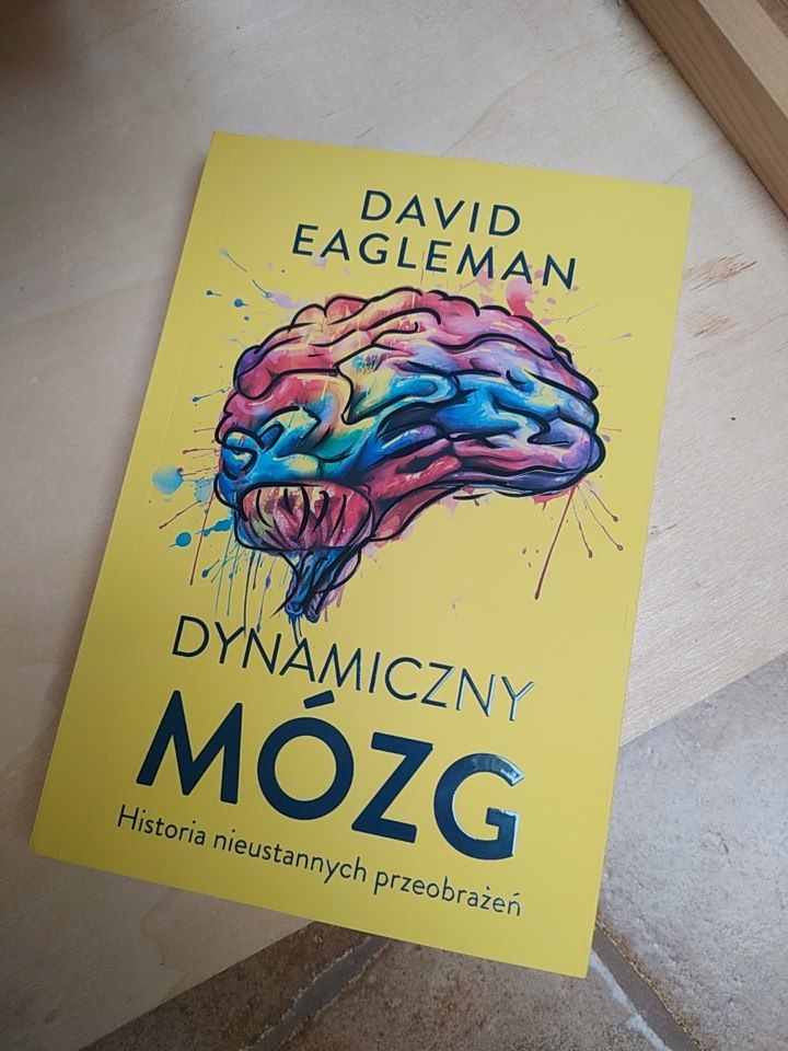 Dynamiczny mózg. David Eagleman (ładna)