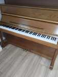 Pianino Betting.