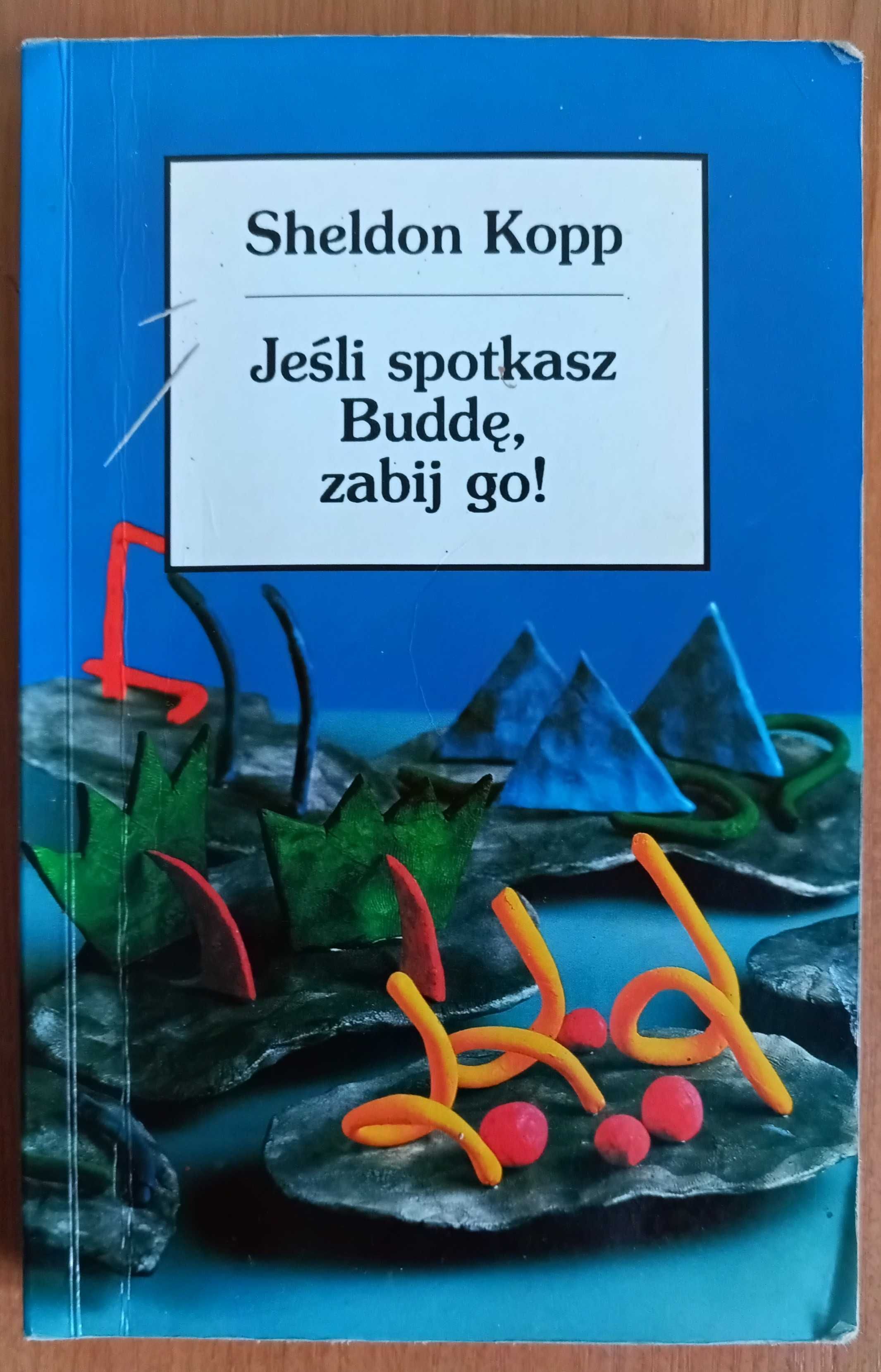 Sheldon Kopp "Jeśli spotkasz Buddę, zabij go!"