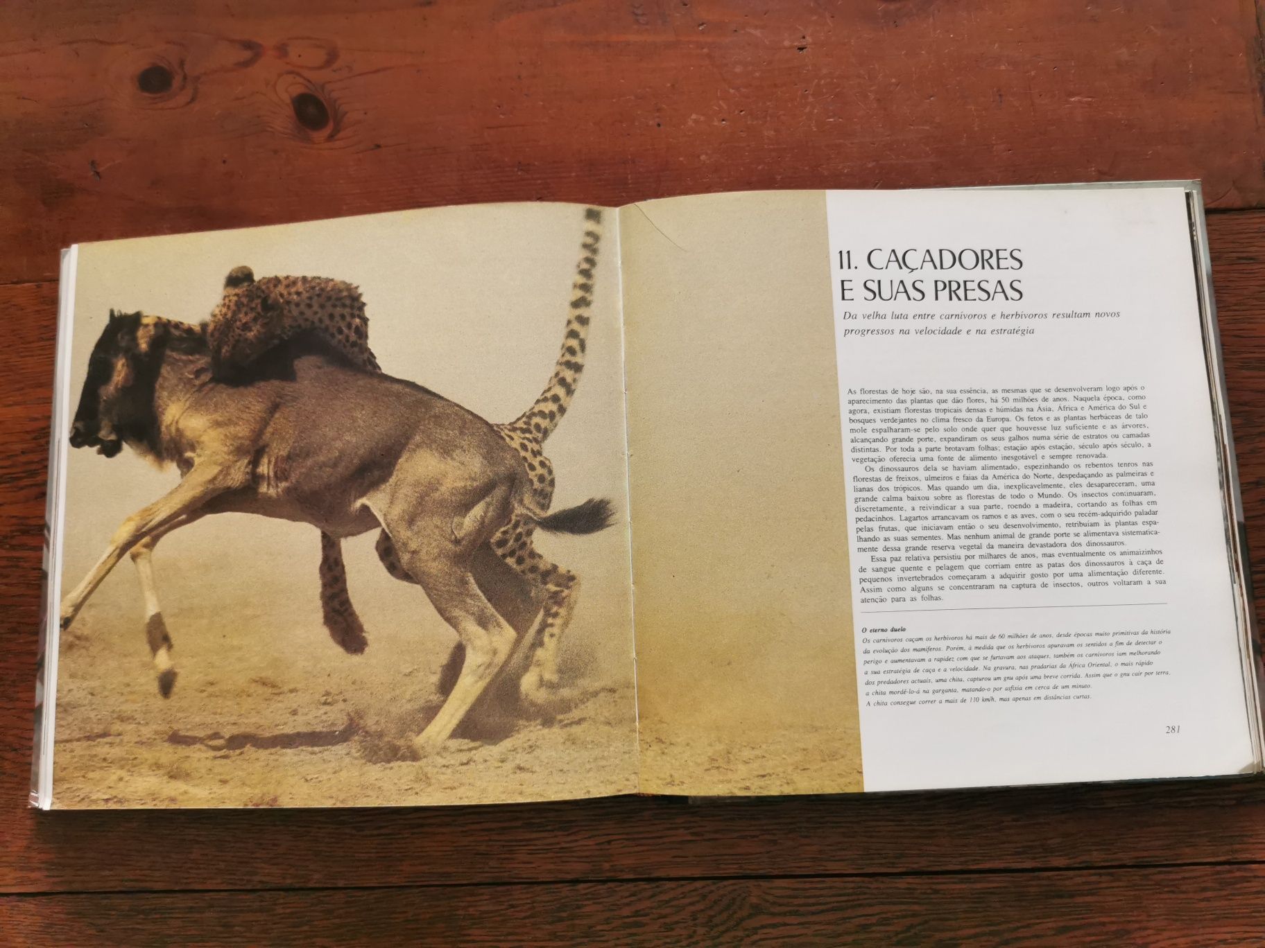 A Vida na Terra - David Attenborough (Selecções do Readers Digest)