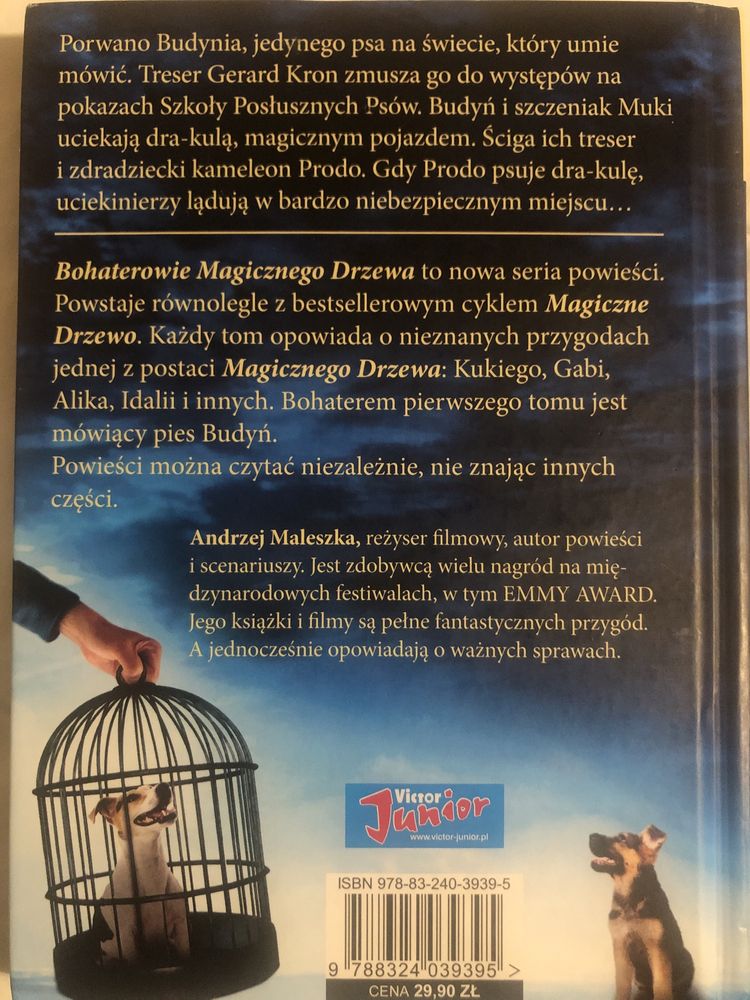 „Magiczne drzewo - Porawnie” Andrzej Maleszka