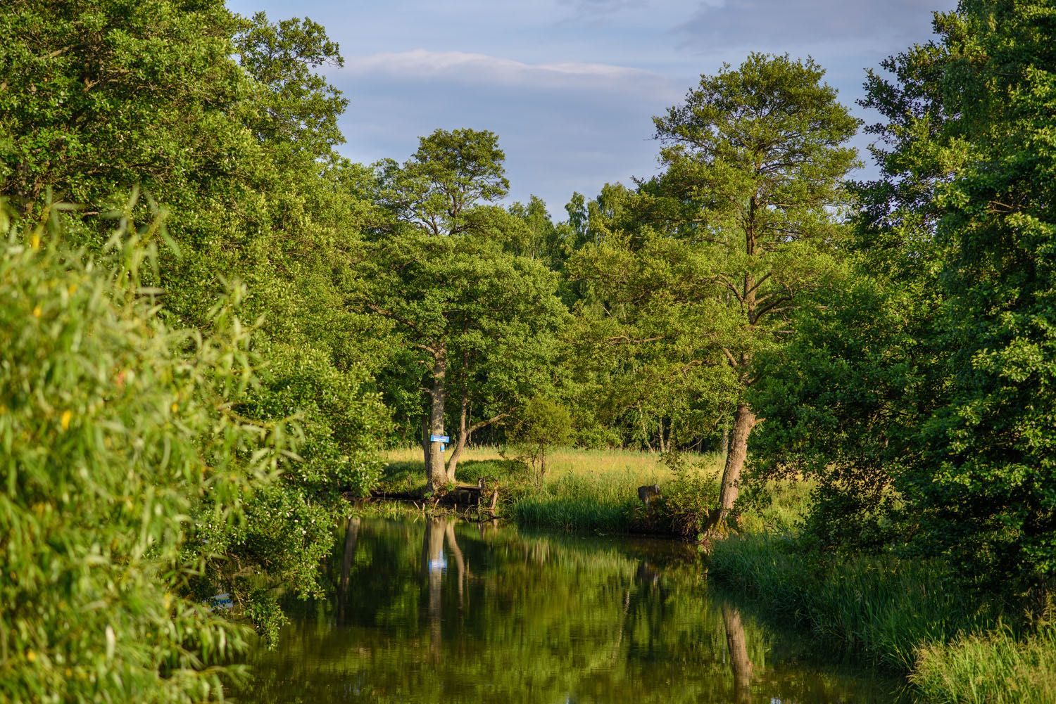 Domek Zielony Jedyny na działce mazury do wynajęcia Mikołajki Iznota