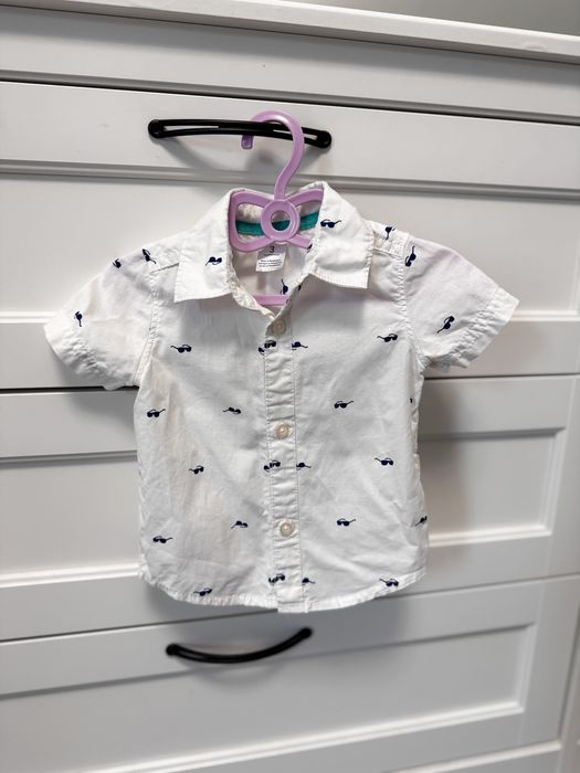 Сорочка, сорочки