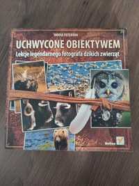 Uchwycone Obiektywem fotografia dzikich zwierząt Nikon