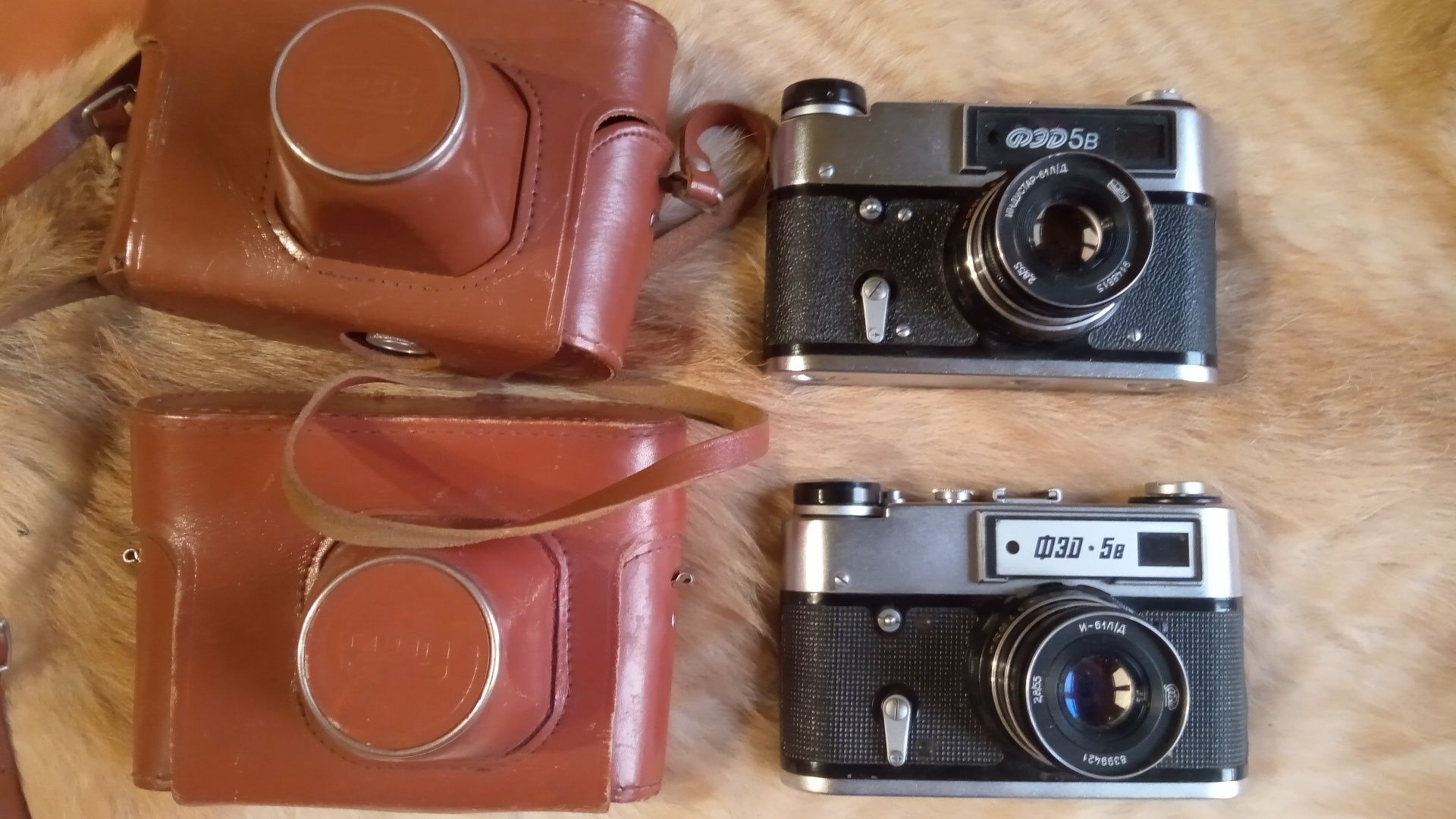 Zabytkowe aparaty fotograficzne FED 5 w dwóch różnych wersjach