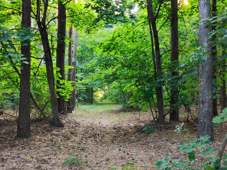 Місце мрії! 15 соток під забудову прямо в лісі, біля озера.