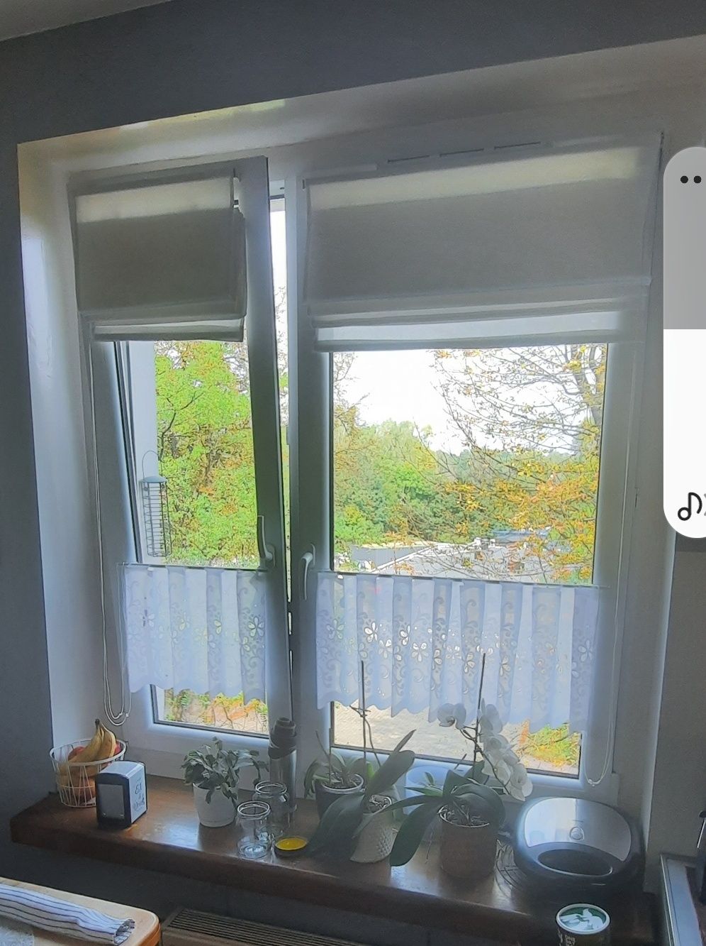 Okno 2 skrzydłowe / 2 szybowe