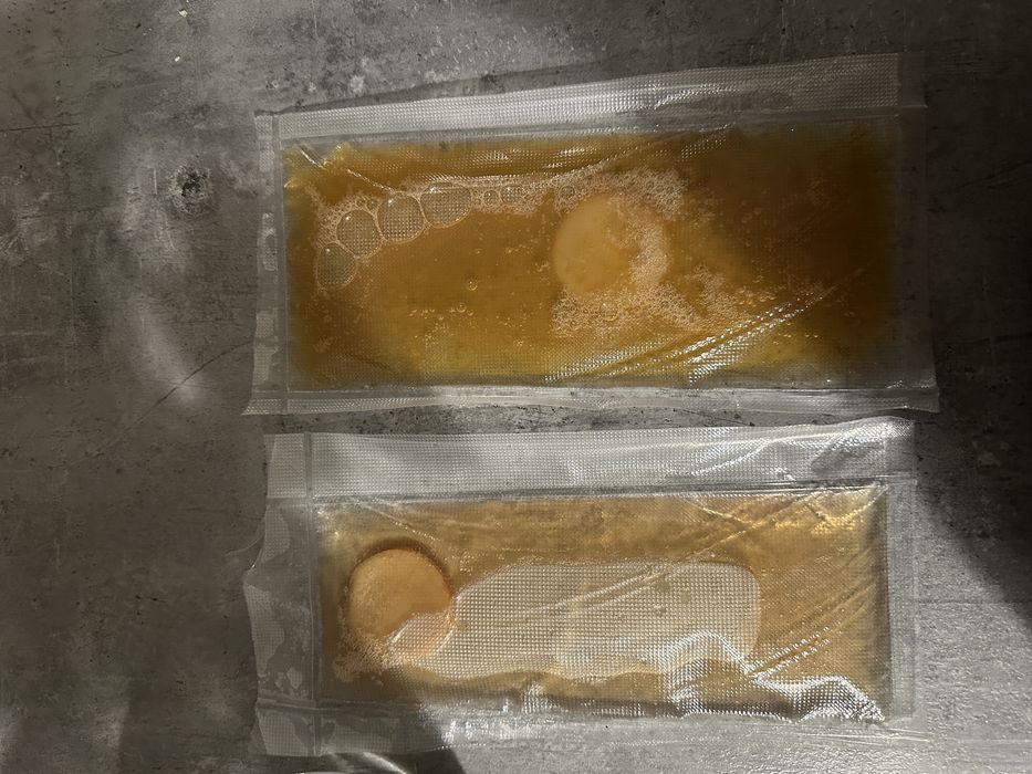 Grzybek herbaciany kombucha scooby starter