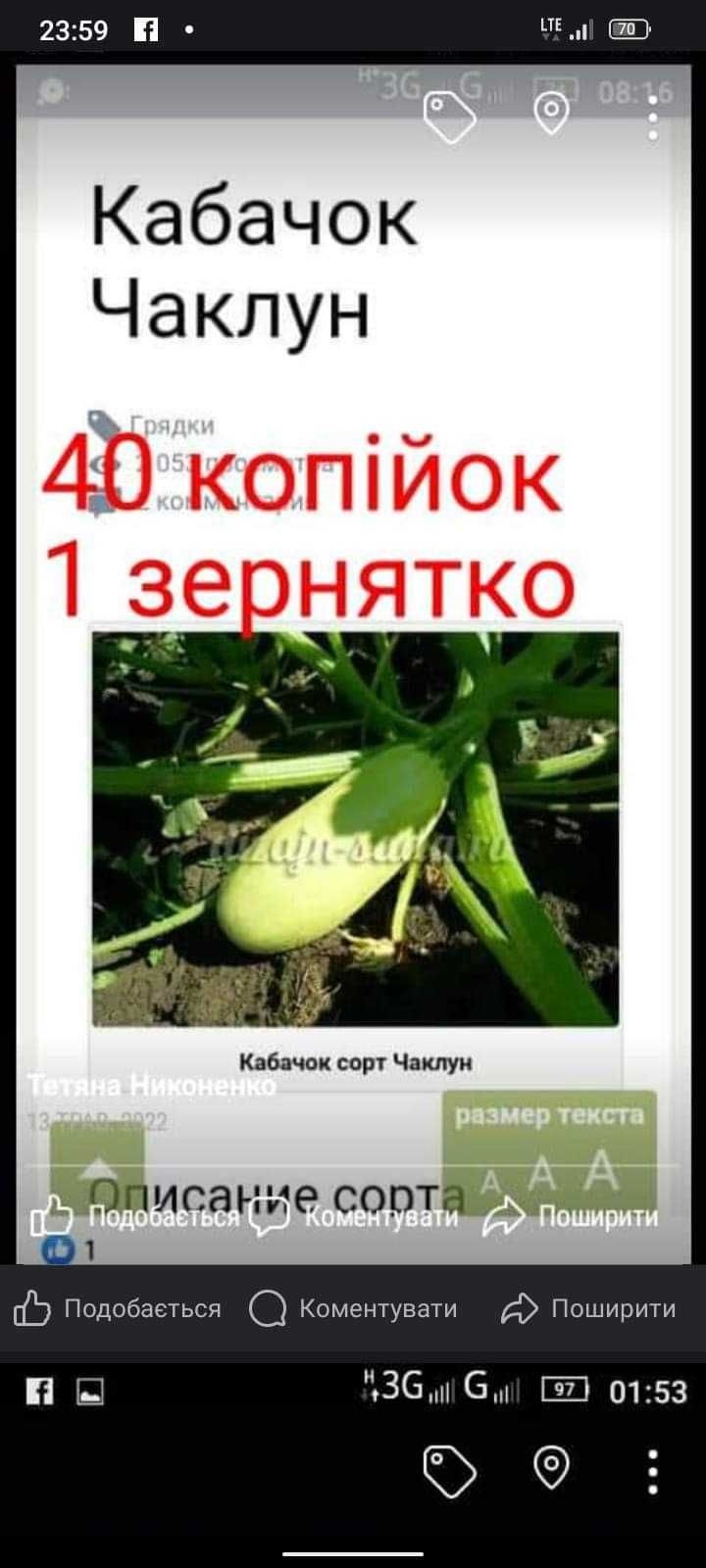 Продам Насіння овочів