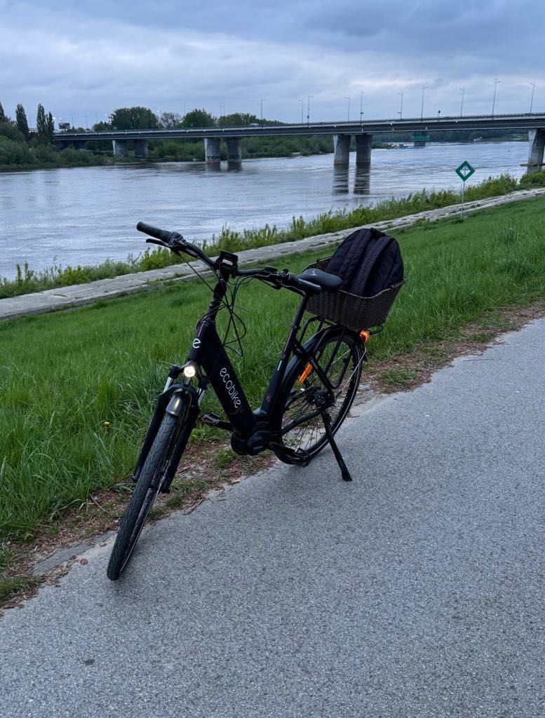 Rower elektryczny EcoBike LX 21”