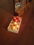 Caixas de frutas e legumes casas de bonecas