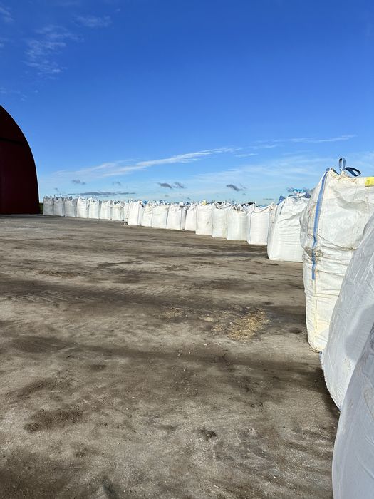 kukurydza mielona bigbag lub luz /mielone ziarno kukurydzy/CCM